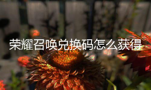 码怎么获码汇兑换得 兑换新增不同荣耀渠道召唤总